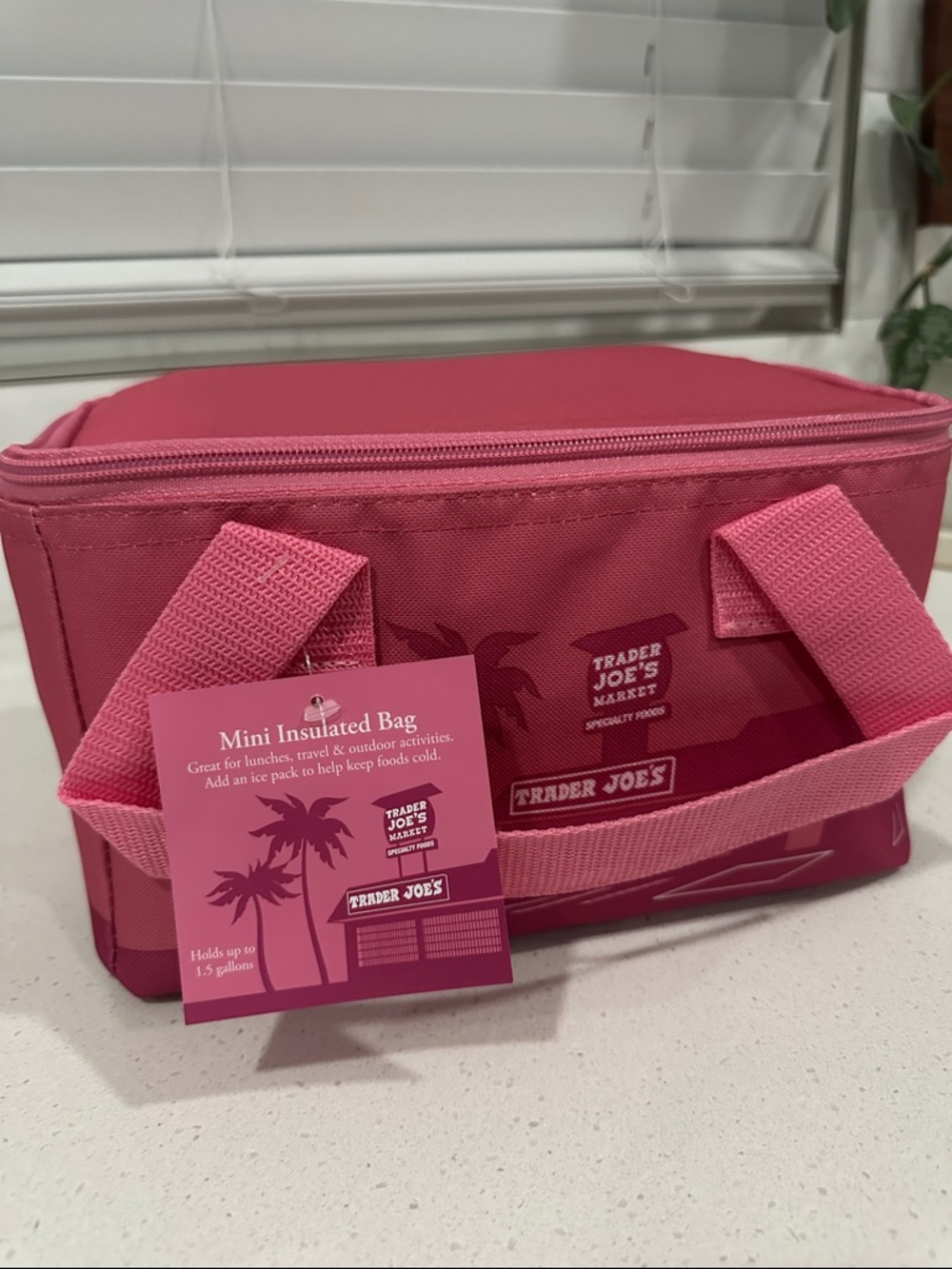 Trader Joe's Mini Insulated Bag - Pink